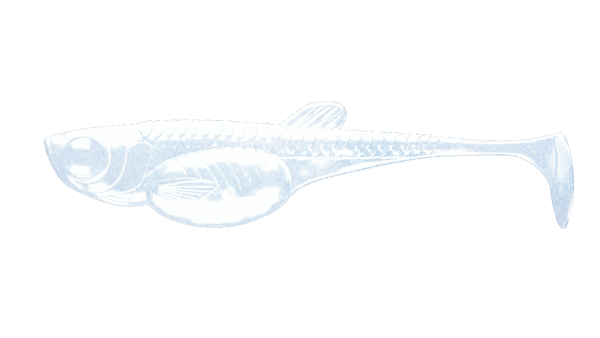 EMBRION SHAD -003-BLUE PEARL.png